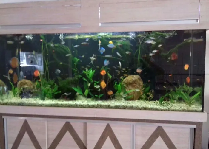 Pousada FamiliarPousada